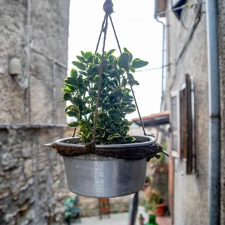 Dimora Turistica De' Piazza Gæstehus Roccalvecce